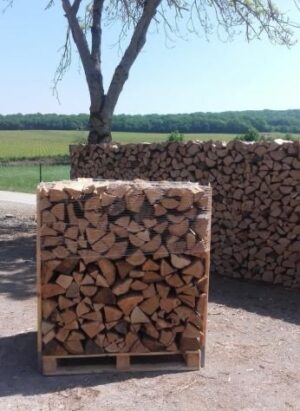 Bois de chauffage en palette Longueur 50 CM